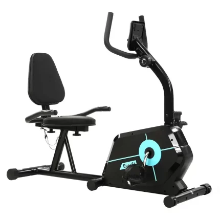 Recumbent Exercise Bike Magnetic Fitness Cycle Trainer Gym Equipment